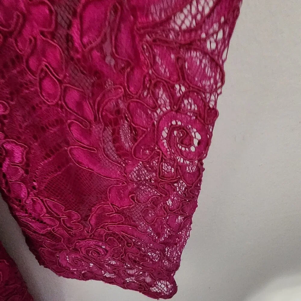 Carmen Marc Volvo fuschia lace dress - Picture 4 of 9